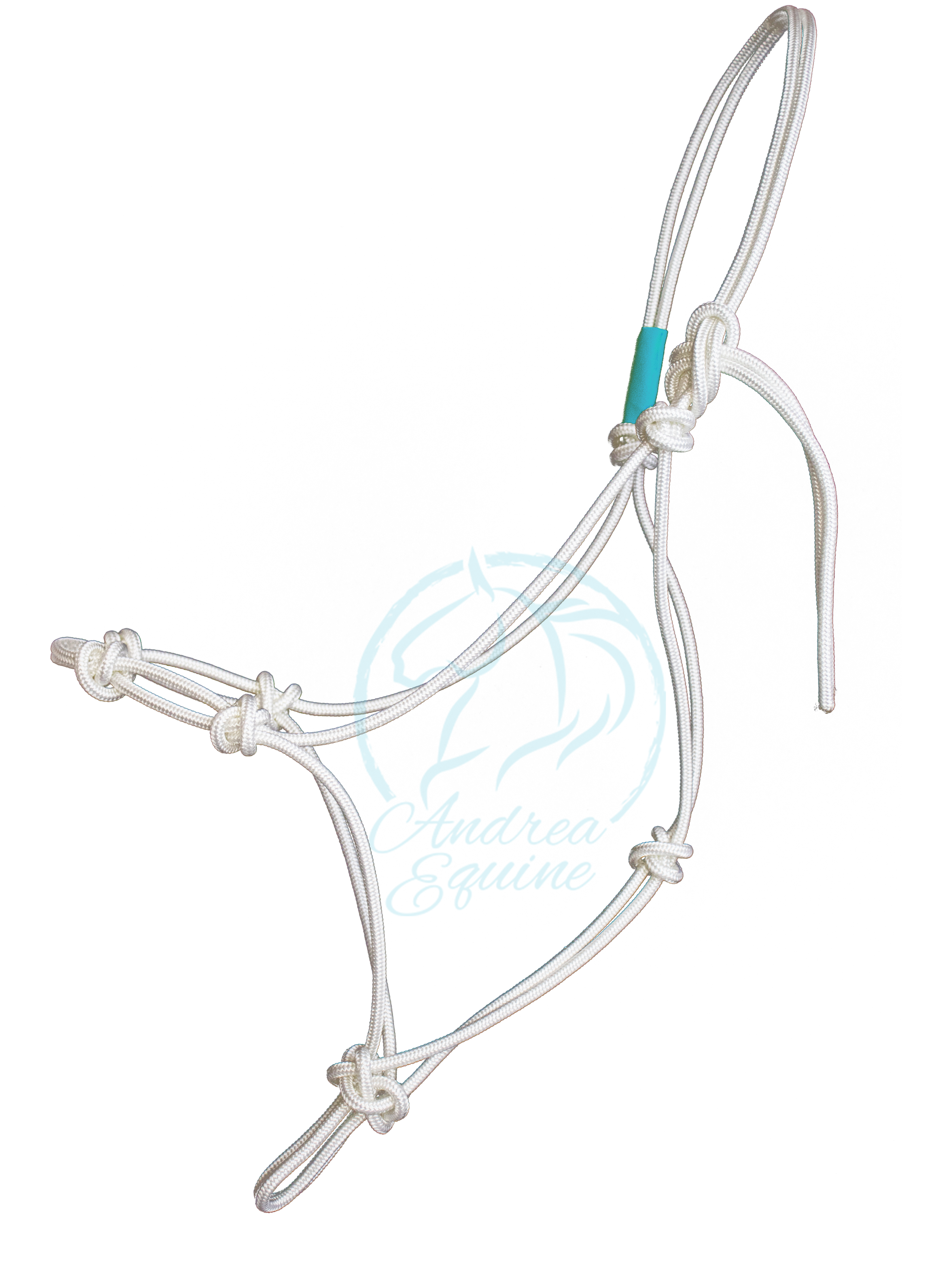 Stiff 4 Knot Clinician Training Halter