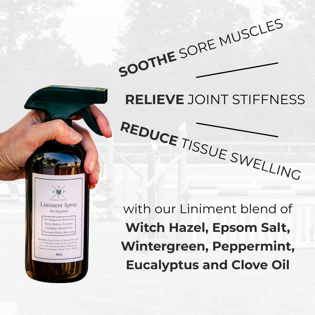 Liniment Spray for Horses - 16oz
