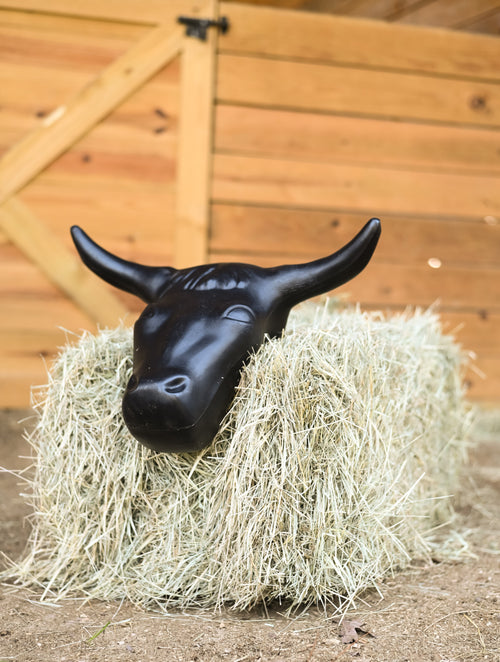 AJ Tack Adult Size 20" Horn Spread Steer Head Roping Dummy
