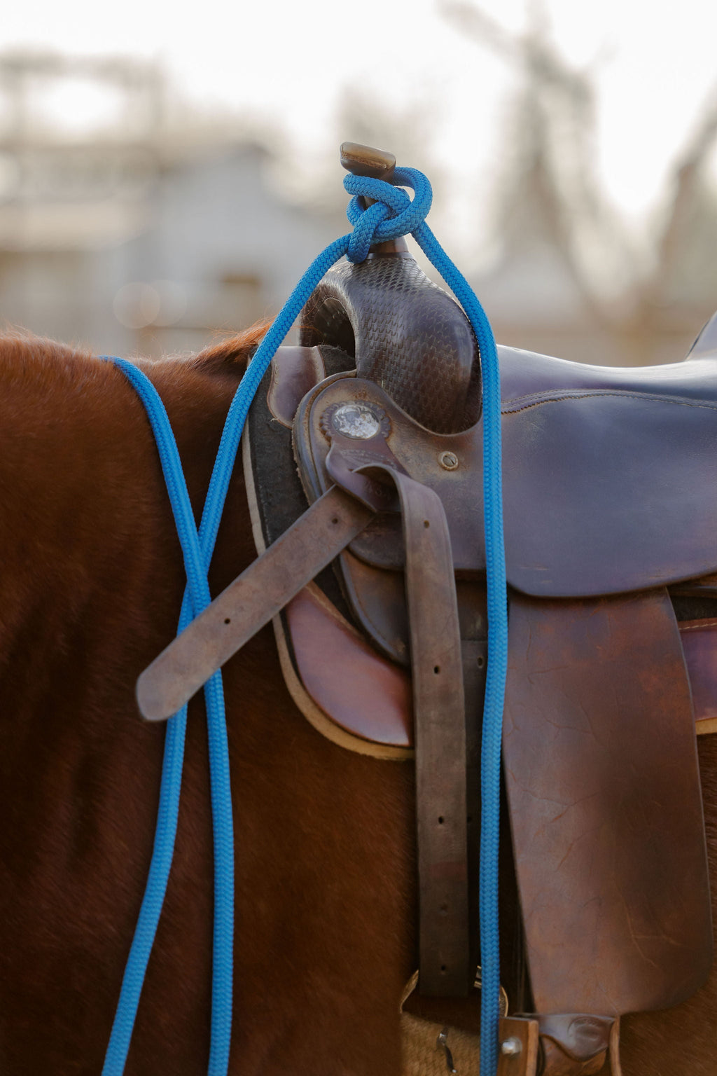 22 Ft Clinician Mecate Reins