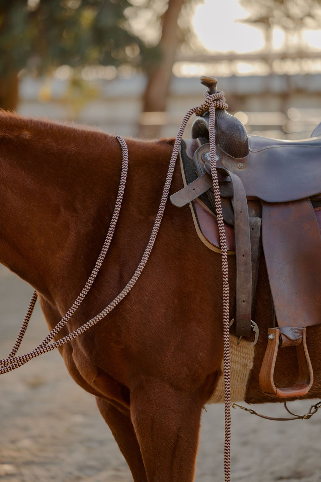 22 Ft Clinician Mecate Reins