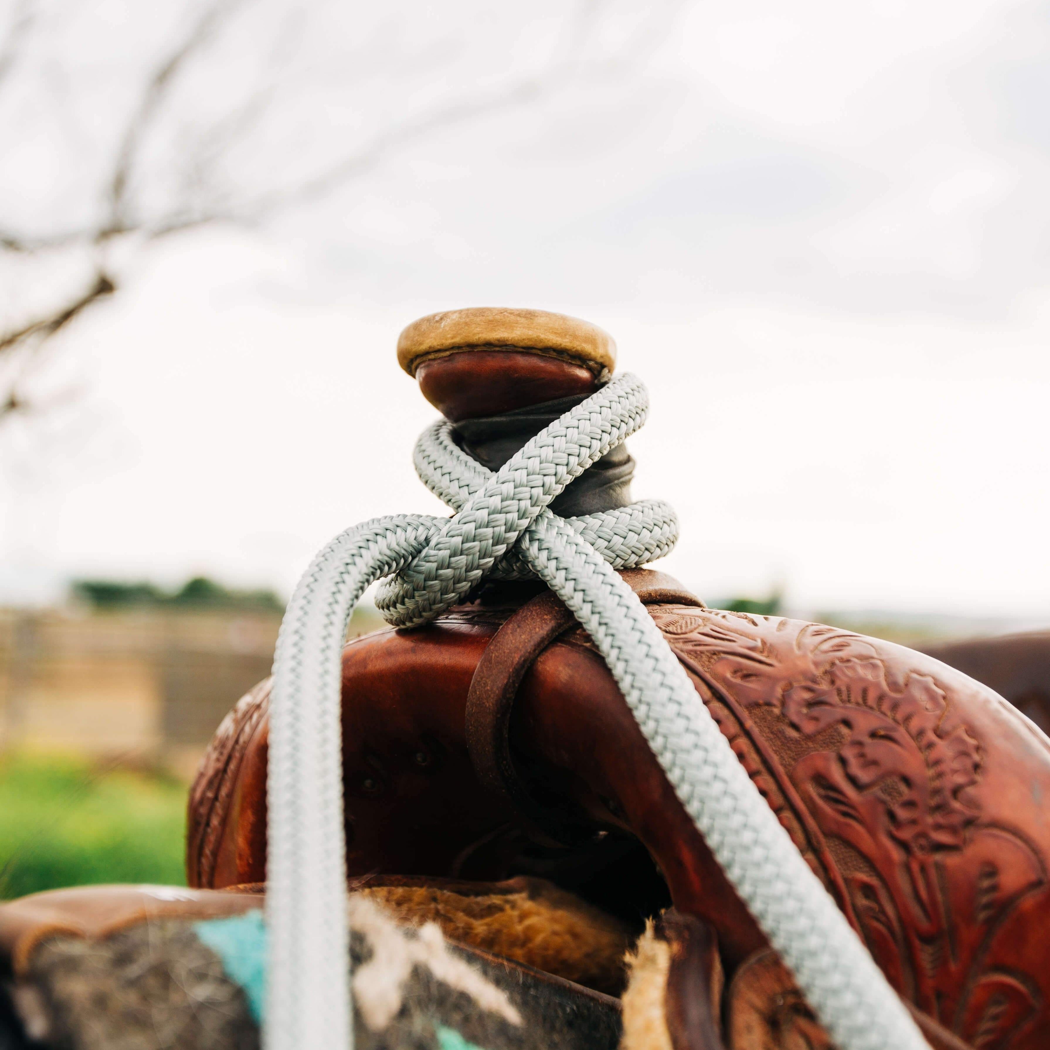 10 Ft Clinician Loop Reins